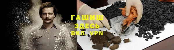 PSILOCYBIN Белокуриха
