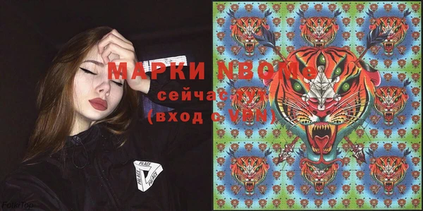 PSILOCYBIN Белокуриха
