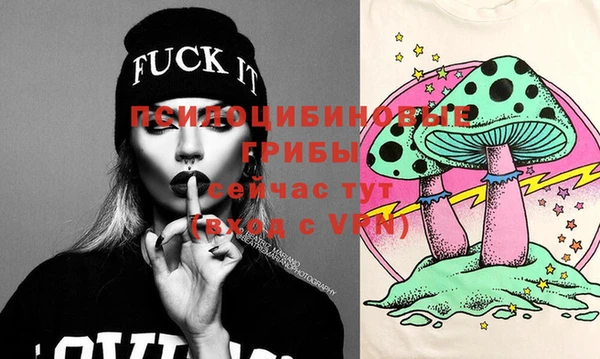 PSILOCYBIN Белокуриха