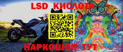 PSILOCYBIN Кулебаки