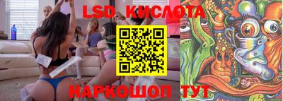 PSILOCYBIN Кулебаки