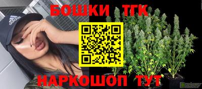 PSILOCYBIN Кулебаки