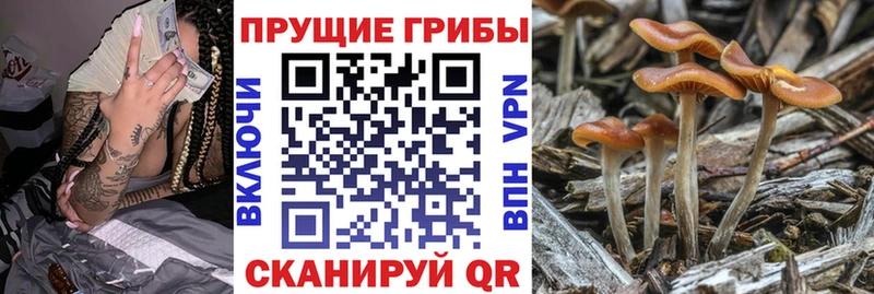 мега рабочий сайт  Соль-Илецк  Галлюциногенные грибы MAGIC MUSHROOMS 