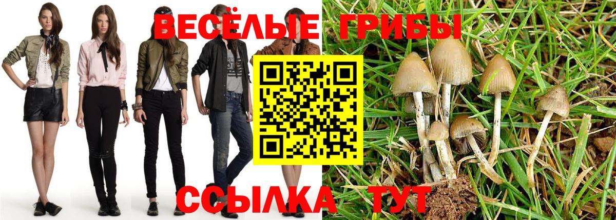 Псилоцибиновые грибы Psilocybine cubensis  Вход с VPN  Галлюциногенные грибы Magic Shrooms  Соль-Илецк 
